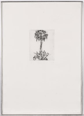 Lot 1132 - Jim Dine ALLUM Etching and drypoint, 1978,...
