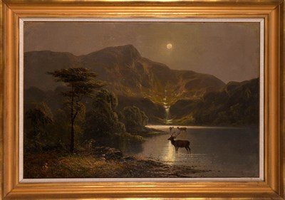 Lot 1003 - American School 19th Century Deer in a Moonlit...