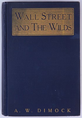 Lot 106 - DIMOCK, ANTHONY W. Wall Street and the Wilds....