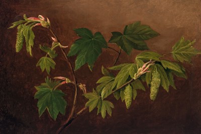 Lot 94 - Joseph Tubby American, 1821-1896 Branch of...