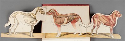 Lot 109 - [DOGS] Miscellaneous group of eleven works on...