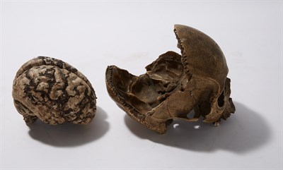 Lot 154 - Human Skull Probably 19th Century Height 6 1/4...