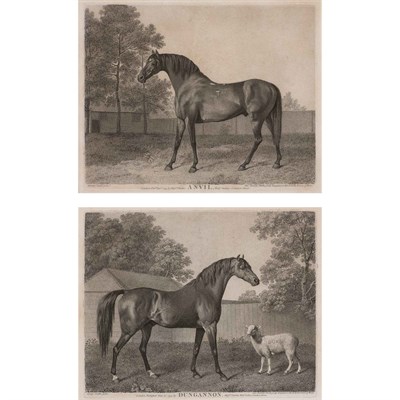 Lot 236 - After George Stubbs (1724-1806) DUNGANNON;...