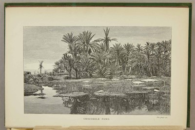 Lot 3 - ADAMS, ANDREW LEITH Wanderings of a Naturalist...