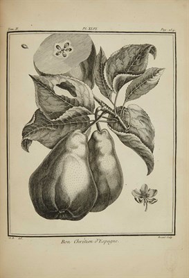 Lot 80 - DUHAMEL DU MONCEAU, [HENRI-LOUIS] Traité des...