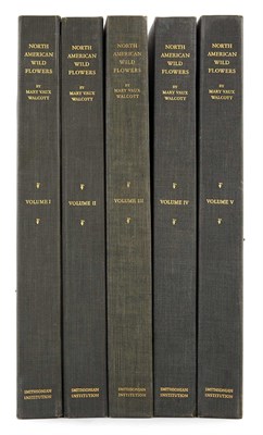 Lot 141 - WALCOTT, MARY VAUX North American Wild Flowers....