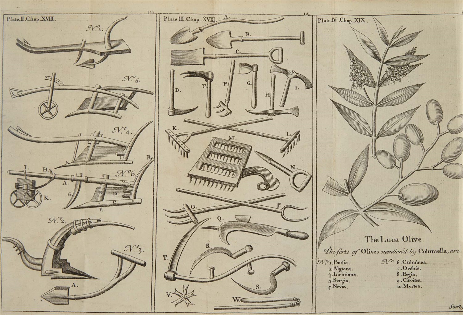Lot 76 - BRADLEY, RICHARD A survey of the ancient...