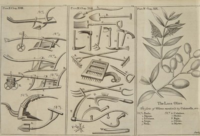 Lot 76 - BRADLEY, RICHARD A survey of the ancient...
