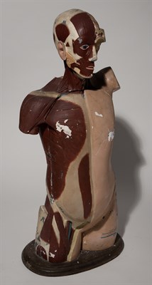 Lot 158 - Denoyer & Geppert Anatomical Model of a Human...
