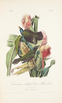 Lot 117 - AUDUBON, JOHN JAMES The Birds of America from...