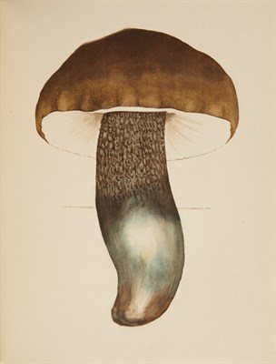 Lot 142 - WASSON, VALENTINA PAVLOVNA and R. GORDON....
