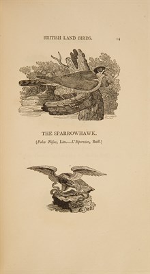 Lot 118 - BEWICK, THOMAS (and others) Land Birds....