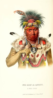 Lot 31 - [COLOR PLATE] MCKENNEY, THOMAS L. & HALL,...