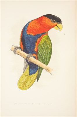 Lot 125 - GREENE, W.[ILLIAM] T.[HOMAS] Parrots in...