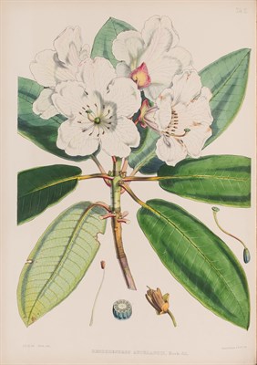 Lot 129 - HOOKER, JOSEPH DALTON, Sir The Rhododendrons...