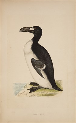 Lot 131 - MORRIS, F. O. A History of British Birds....