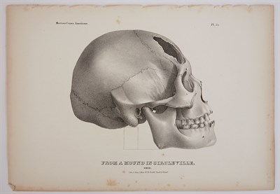 Lot 170 - [NATIVE AMERICAN SKULLS] Group of thirteen...