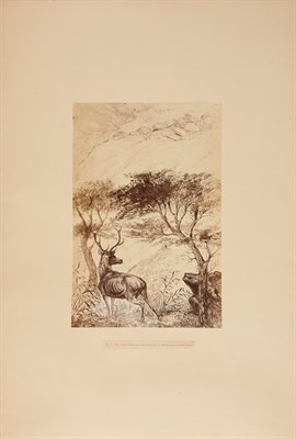 Lot 150 - [CREALOCK, HENRY HOPE] In the Forest of...