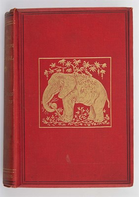 Lot 142 - FERNANDES DAS NEVES, D[IOCLECIANO]. A Hunting...