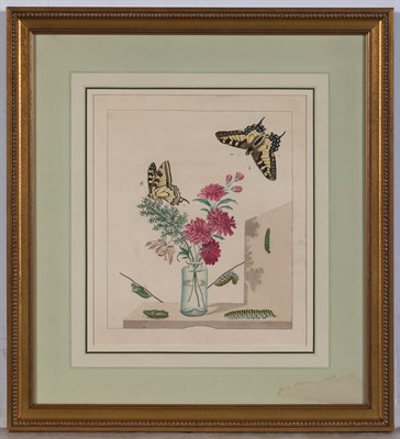 Lot 88 - Moses Harris (1731-1785) [PLANT AND INSECT...