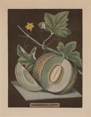 Lot 84 - George Brookshaw (1751-1823) [FRUIT STUDIES]...