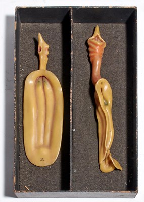 Lot 153 - Group of Adolf Ziegler Wax Anatomical Models...
