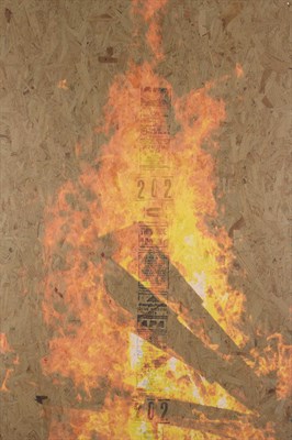 Lot 2075 - Peter Sutherland American, b. 1976 Bonfire 9,...