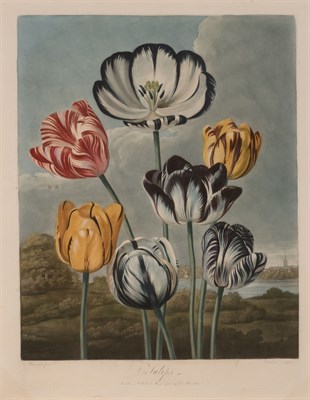 Lot 82 - Dr. Robert Thornton, publisher (1768-1837)...