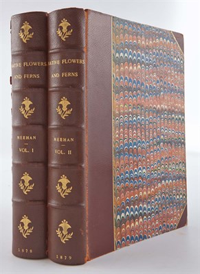 Lot 226 - MEEHAN, THOMAS The Native Flowers and Ferns of...