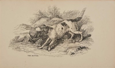 Lot 91 - SKINNER, J. S. The Dog and the Sportsman....