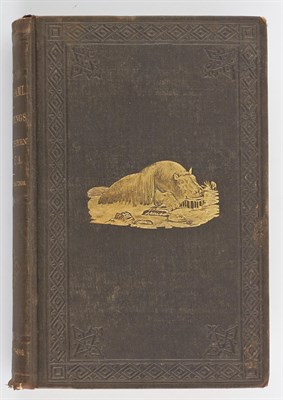 Lot 15 - ANDERSSON, CHARLES JOHN Lake Ngami; or,...