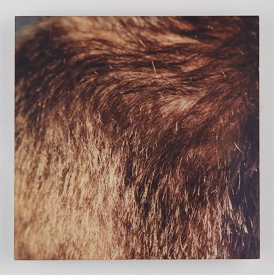 Lot 62 - Liza Ryan (American, b. 1965) Displacement # 1;...
