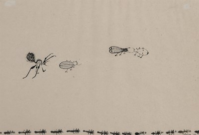 Insects