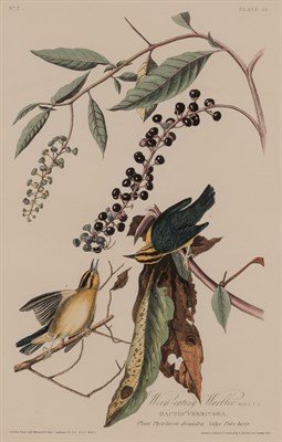 Lot 86 - After John James Audubon (1785-1851)...