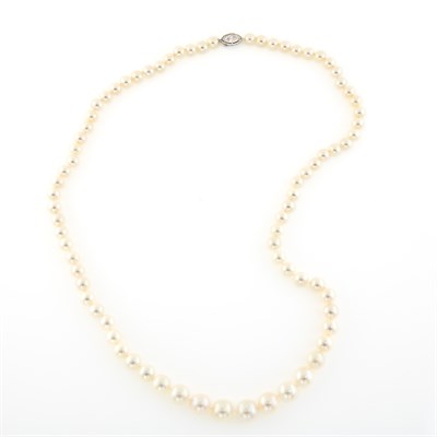 Lot 1373 - Cultured Pearl Necklace with Platinum and Diamond Clasp