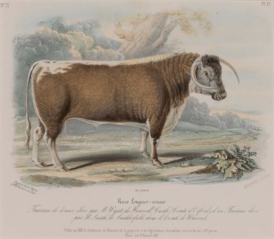Lot 101 - Hermann Eichens (1813-1886) [ANIMAL STUDIES]...