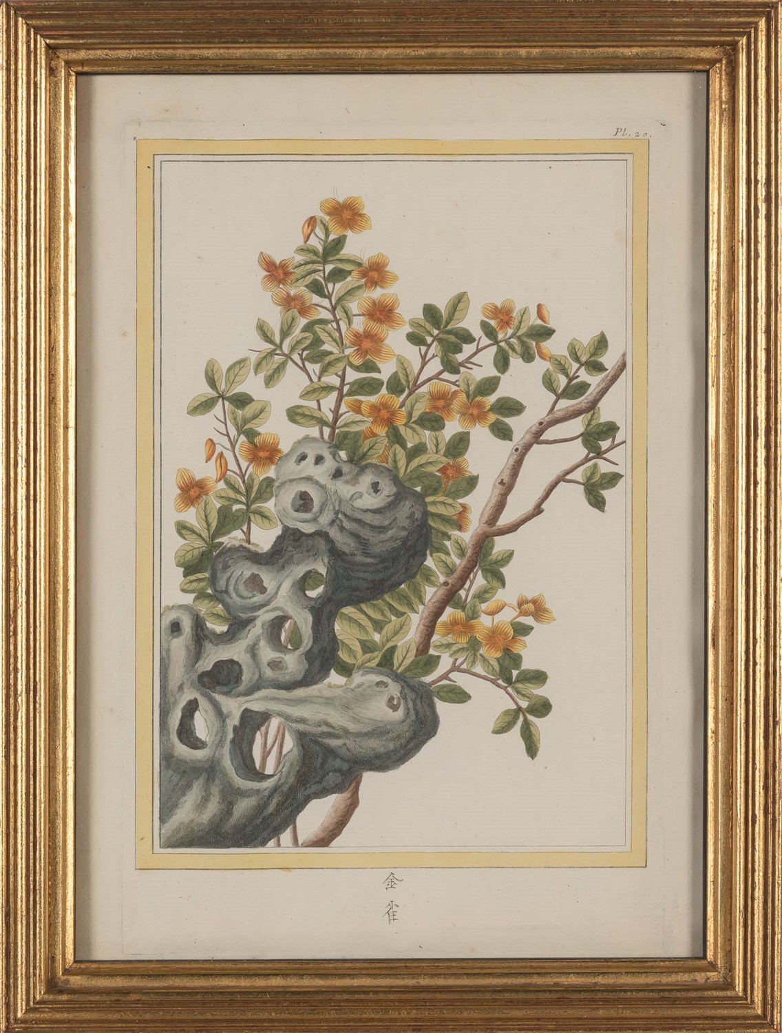 Lot 95 - Pierre Joseph Buchoz (1731-1807) [CHINESE...