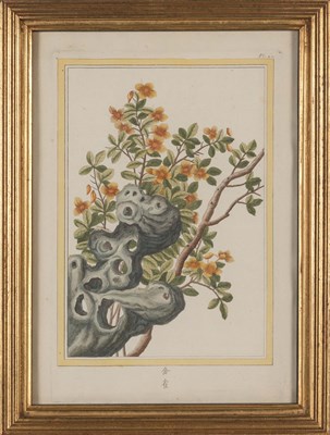 Lot 95 - Pierre Joseph Buchoz (1731-1807) [CHINESE...