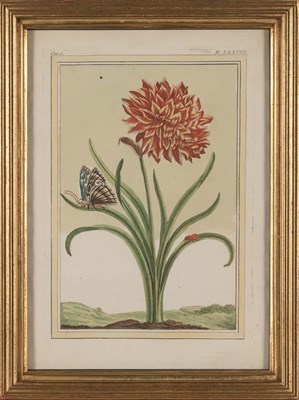 Lot 95 - Pierre Joseph Buchoz (1731-1807) [CHINESE...