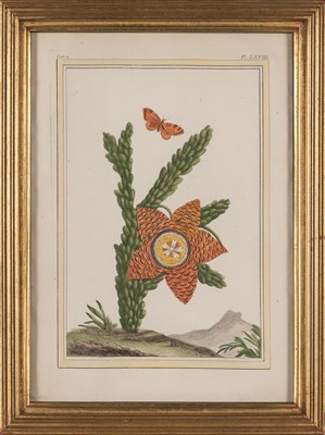 Lot 95 - Pierre Joseph Buchoz (1731-1807) [CHINESE...