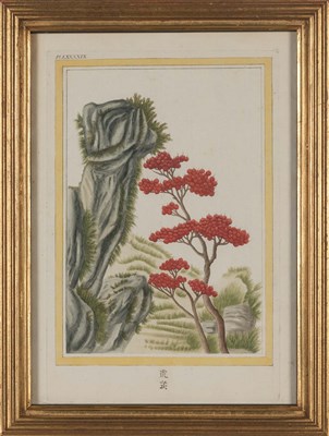 Lot 95 - Pierre Joseph Buchoz (1731-1807) [CHINESE...