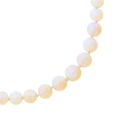Lot 136 - Opal Bead Necklace with Gold and Opal Clasp