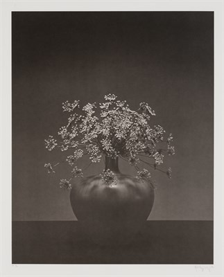 Lot 41 - MAPPLETHORPE, ROBERT (1946-1989) Queen Anne's...