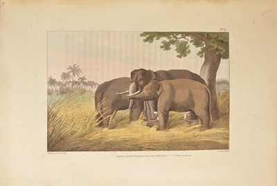 Lot 229 - WILLIAMSON, THOMAS Oriental Field Sports;...