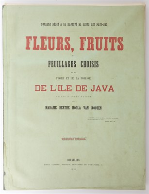 Lot 223 - HOOLA VAN NOOTEN, BERTHE. Fleurs, fruits et...