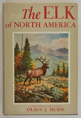 Lot 104 - MURIE, OLAUS J. The Elk of North America....