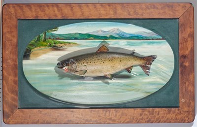 Lot 178 - [TROPHY FISH] Trophy fish, likely a trout,...