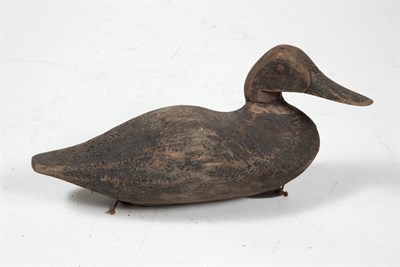 Lot 188 - BLACK DUCK DECOY Carved decoy of a Black Duck....