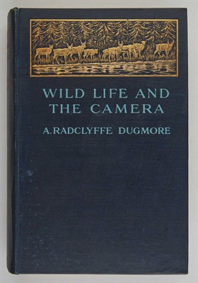 Lot 52 - DUGMORE, A. RADCLYFFE Wild Life and the Camera....