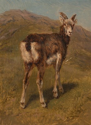Lot 6 - Rosa Bonheur French, 1822-1899 Young Alpine...
